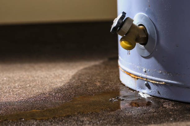 Trusted Charlotte, TX Water damage restoration Experts