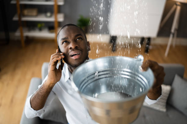 Best Flood restoration services  in Charlotte, TX