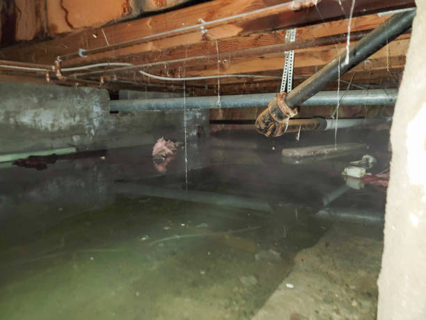 Best Emergency water damage restoration  in Charlotte, TX