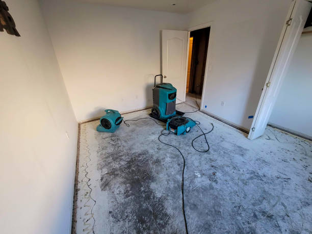 Best Water damage contractors near me  in Charlotte, TX
