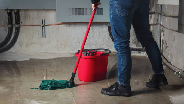 Best Ceiling water damage repair  in Charlotte, TX