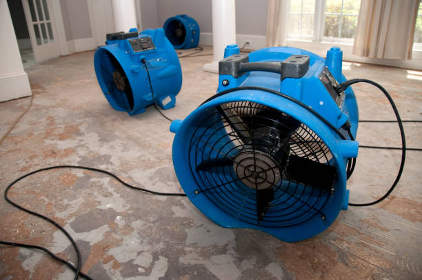 Best Sewage cleanup and water damage restoration  in Charlotte, TX