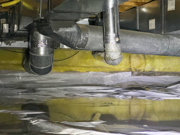 Best Water damage cleanup near me  in Charlotte, TX