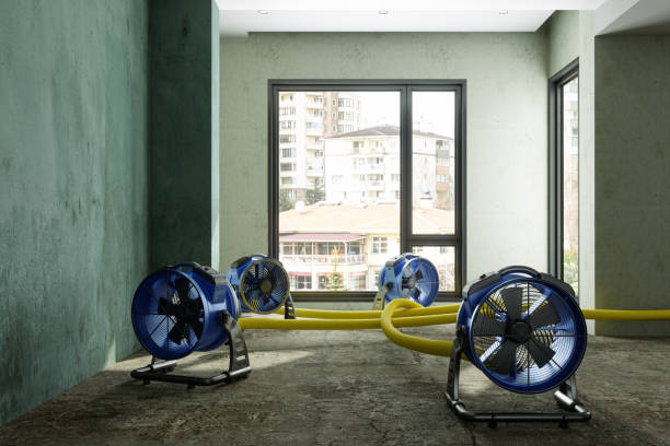 Best Residential water damage restoration  in Charlotte, TX
