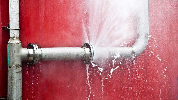 Best Local water damage restoration  in Charlotte, TX